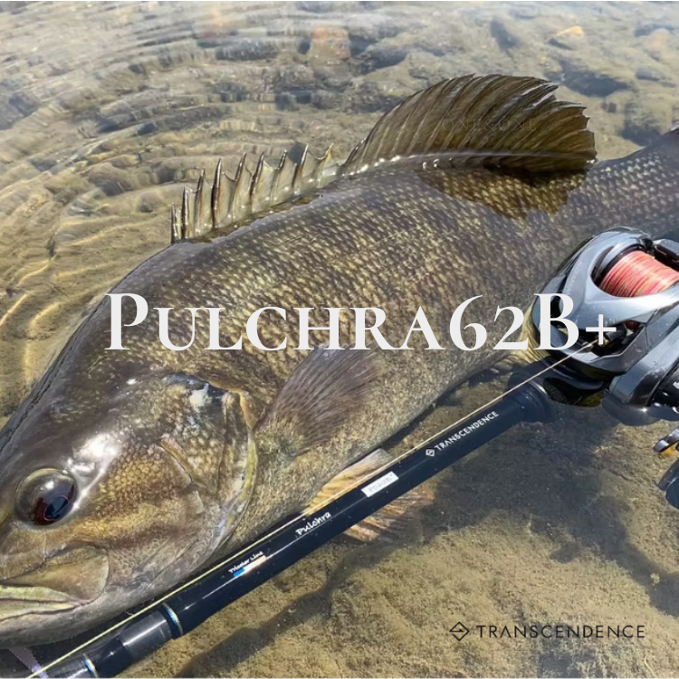 TRANSCENDENCE Pulchra62B+ Rev 2.0