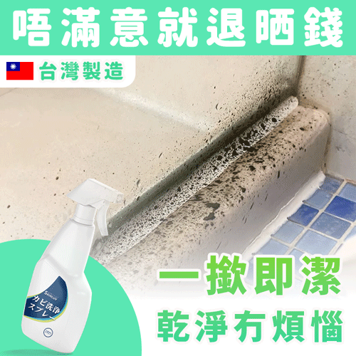 《台灣製造》霉問題 泡沫去霉劑  (今天出隔日到)