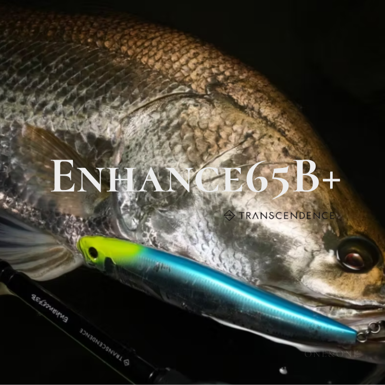 TRANSCENDENCE Enhance65B+