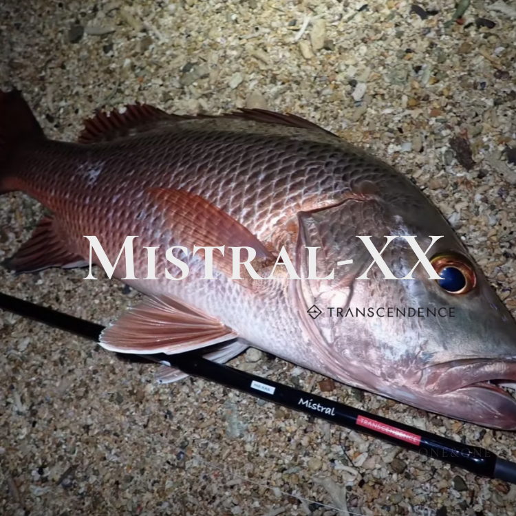 TRANSCENDENCE Mistral-XX