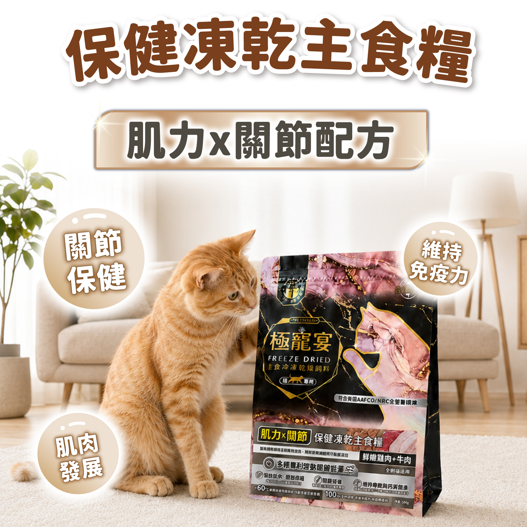 肌力x關節(雞肉+牛肉)極寵宴保健貓凍乾主食糧80g
