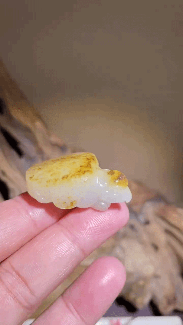 61677 和田玉黃油皮籽料鷹嘴玄龜
