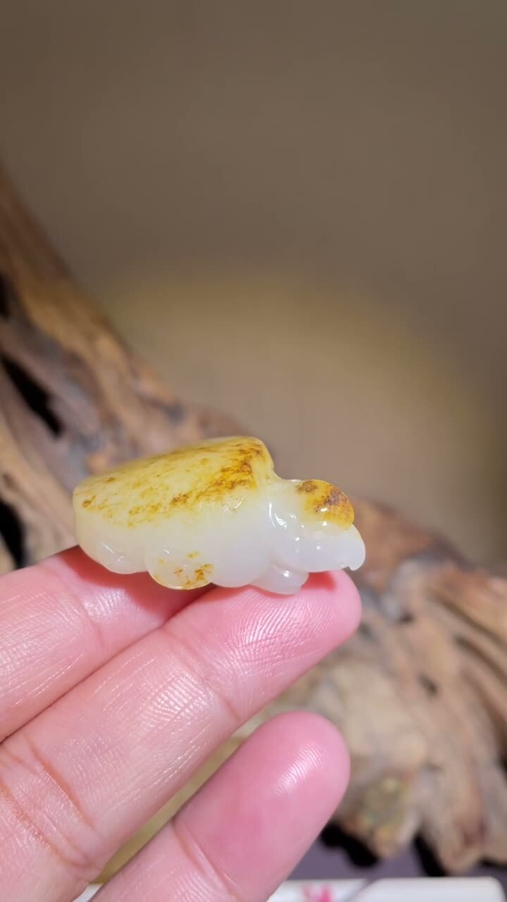 和田玉黃油皮籽料鷹嘴玄龜,天然和田玉軟玉