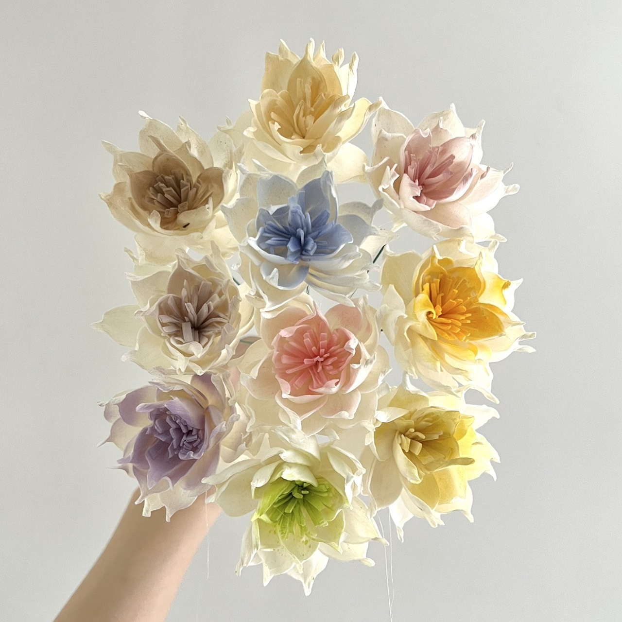 泰國索拉花 重瓣梔子花6cm <十支一把> (高品質)