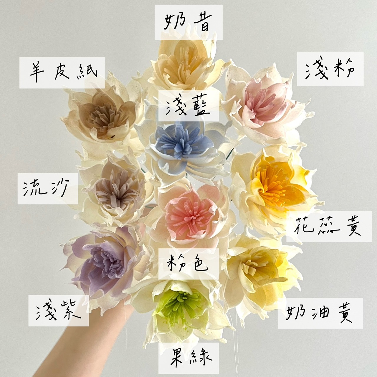 泰國索拉花 重瓣梔子花6cm <十支一把> (高品質)