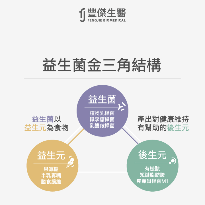益生菌金三角結構