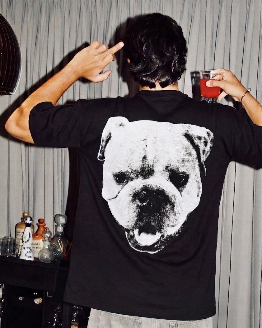 <內有惡犬> Stussy 26SS BIG DOG STONE WASHED TEE 狗頭 短袖 T恤 四色