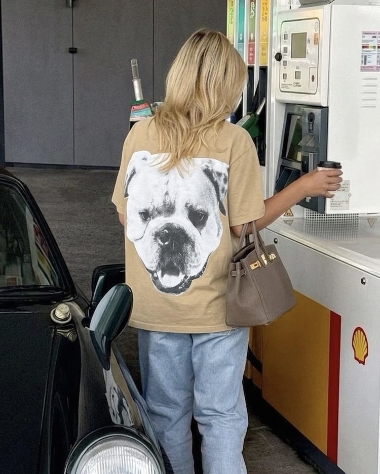 <內有惡犬> Stussy 26SS BIG DOG STONE WASHED TEE 狗頭 短袖 T恤 四色