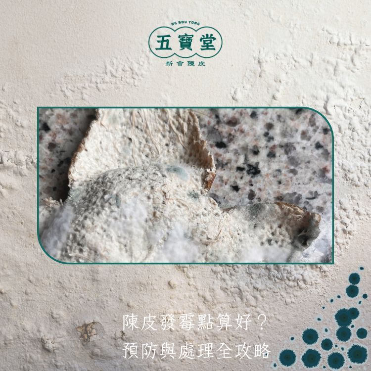 陳皮發霉預防與處理 — 香港潮濕天儲存陳皮全攻略