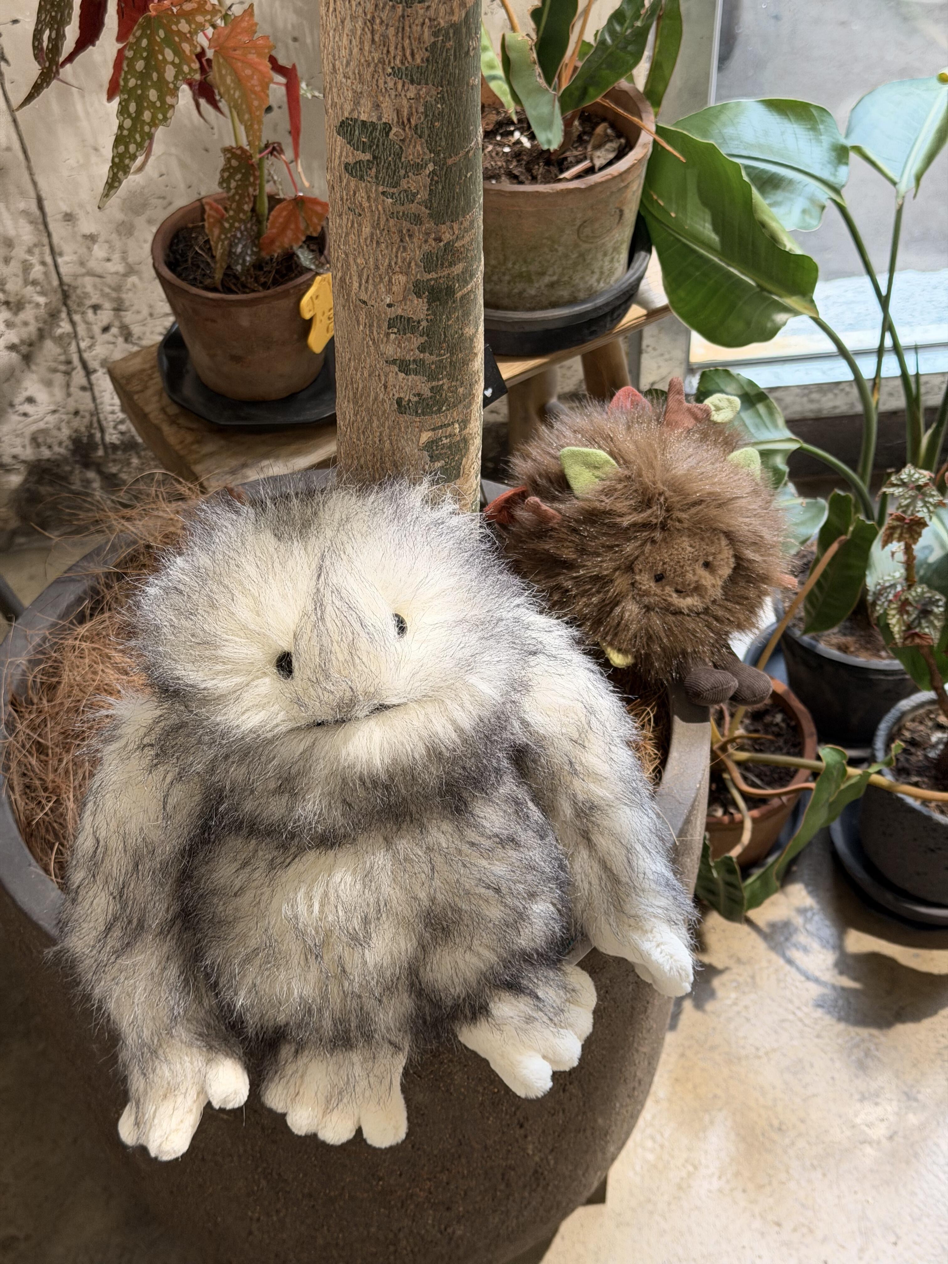 預購】Jellycat 2026新品Amuseables 森林系列小精靈雪怪樹精閃電石頭人棉花