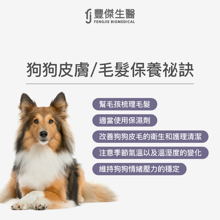 狗狗皮膚、毛髮平日如何保養?