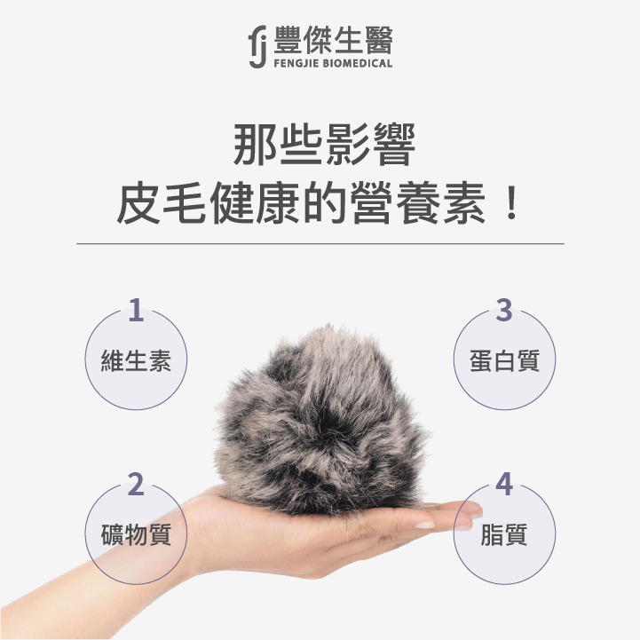 影響狗狗皮毛健康的營養素