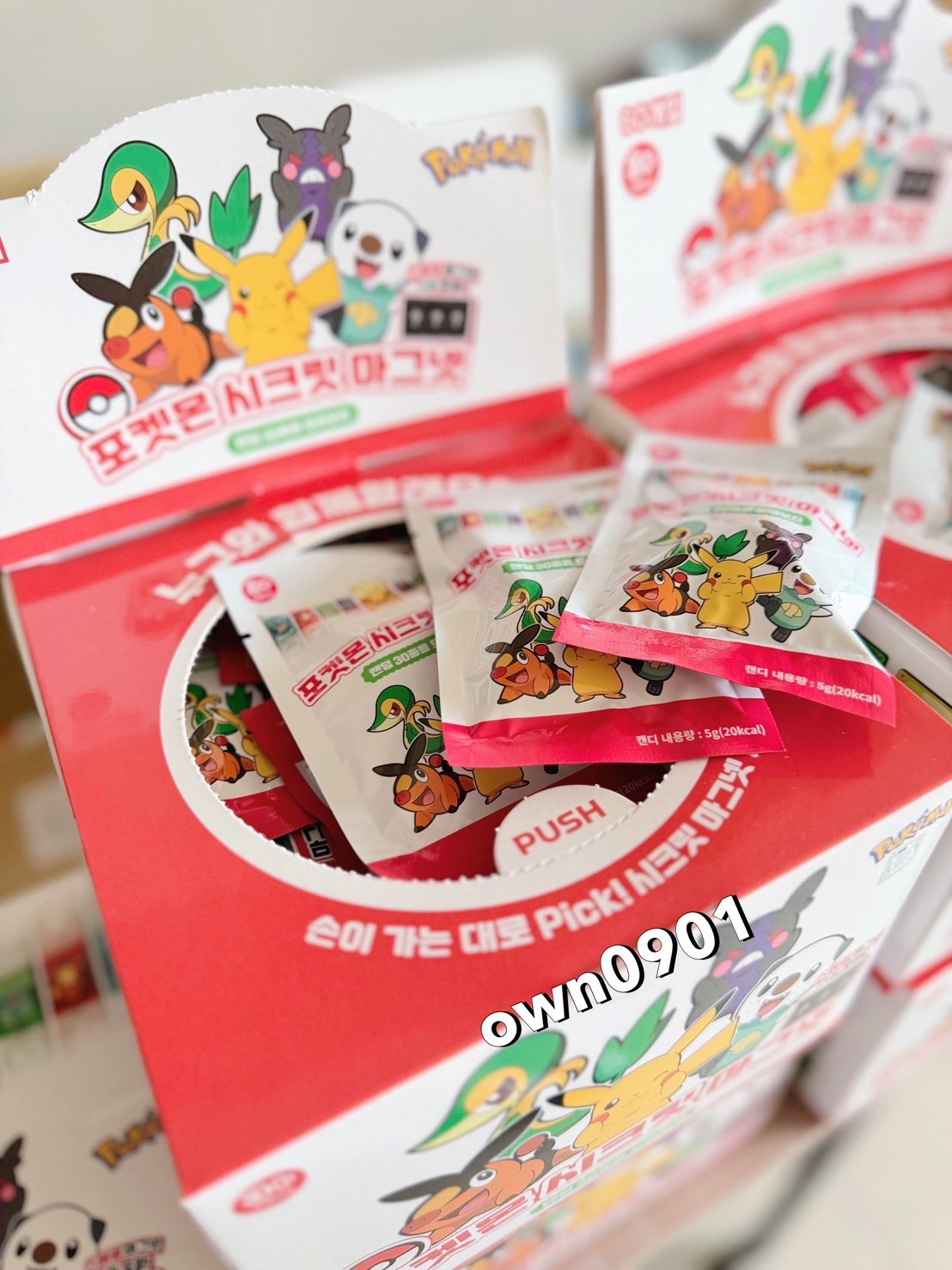 【OWN】Pokémon 寶可夢 新品 韓國限定 磁鐵 盲盒 盲包 指定款 隱藏款 限定 限量 30款