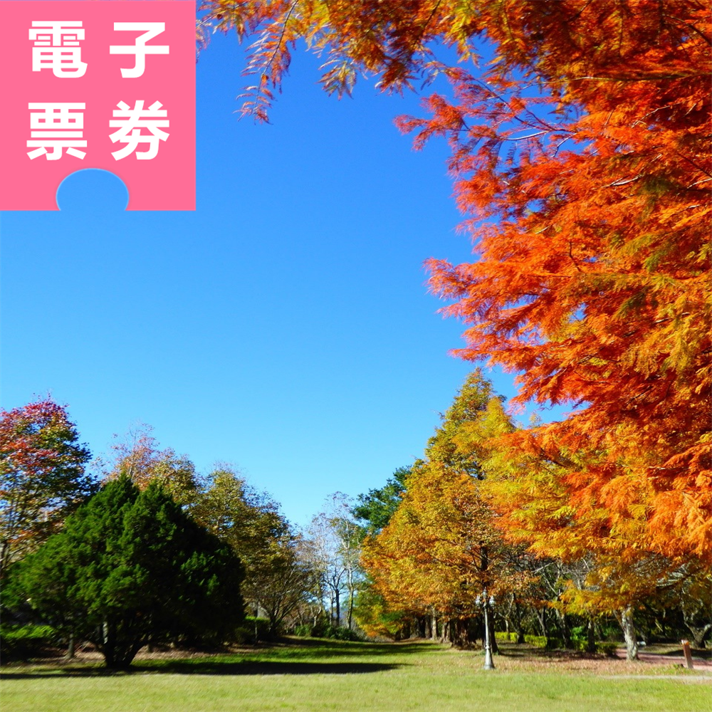 【電子票劵】南投｜奧萬大國家森林遊樂區 門票 Ⓕ