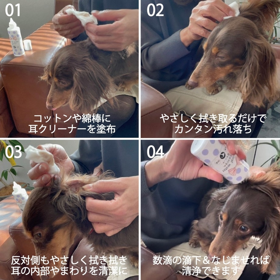 日本ORP Revival Water 洗耳水 50ml (貓狗適用)