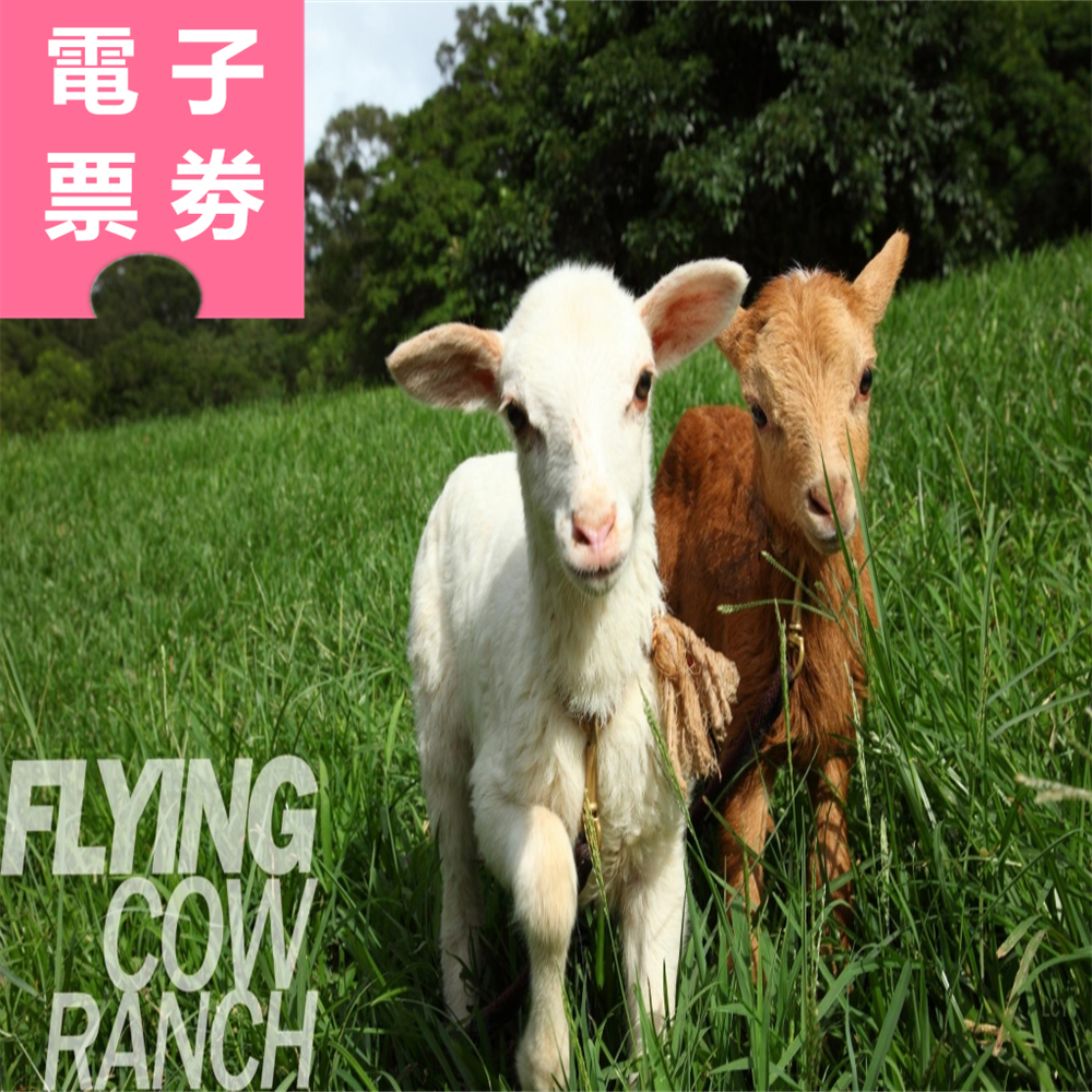 【電子票劵】苗栗｜飛牛牧場門票+彩繪肥牛1個 Ⓕ