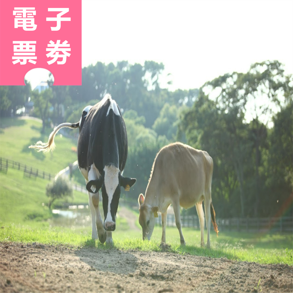 【電子票劵】苗栗｜飛牛牧場 門票+鮮乳冰淇淋+迎賓乳製品 Ⓕ