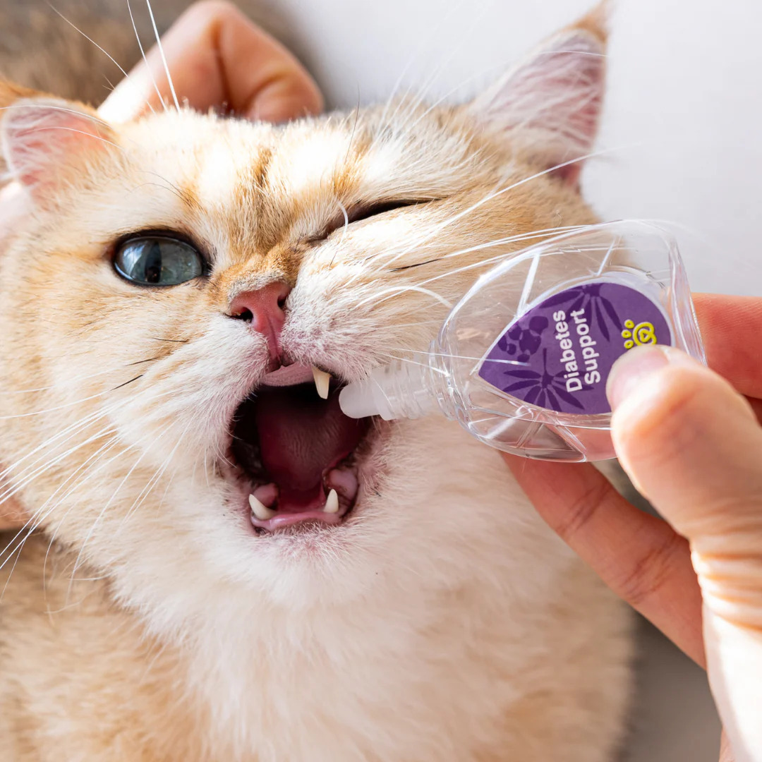 Aphro Paws 糖尿管理補充口服滴劑 15ml