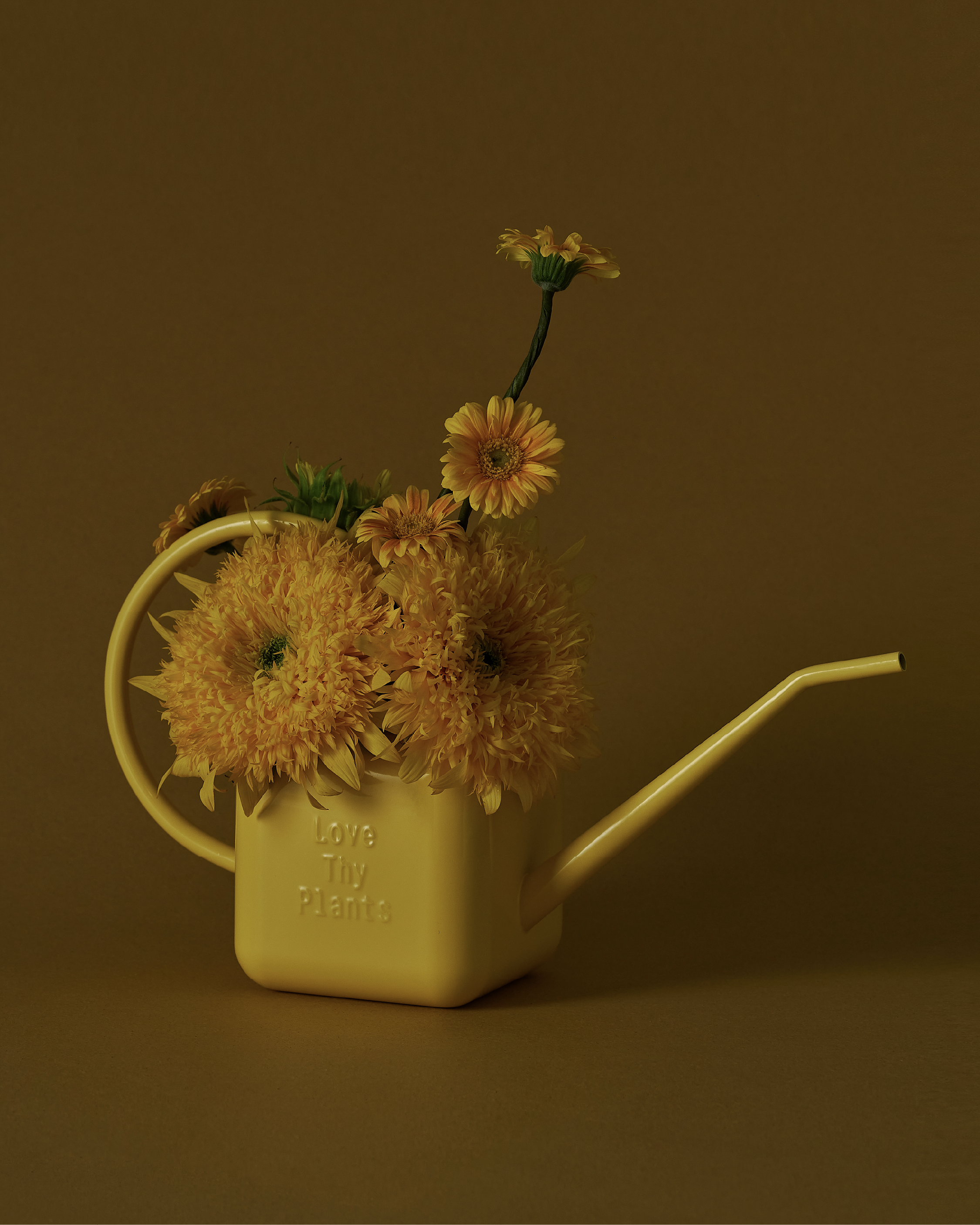 SOWVITAL 英式澆水壺 黃