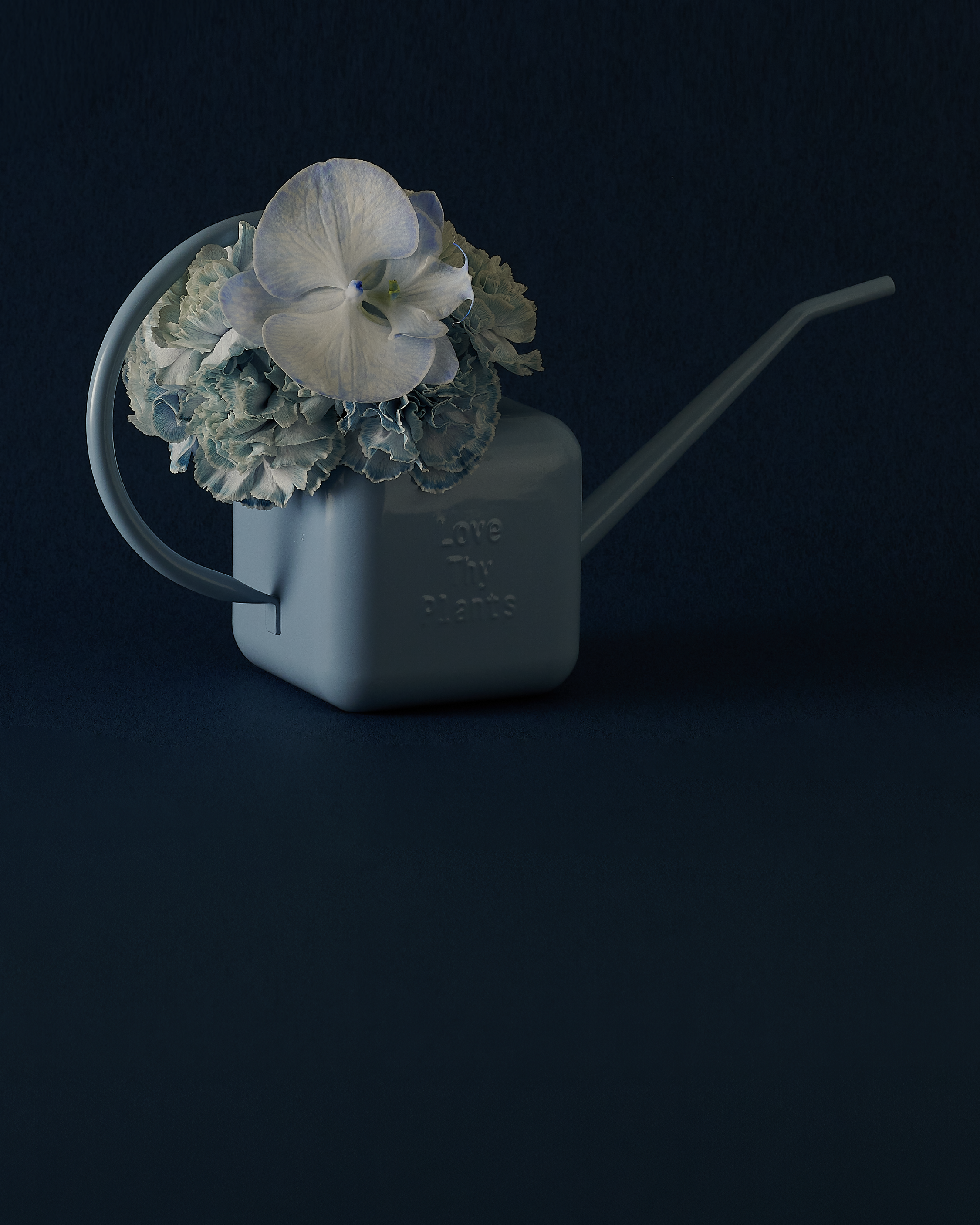 SOWVITAL 英式澆水壺 藍