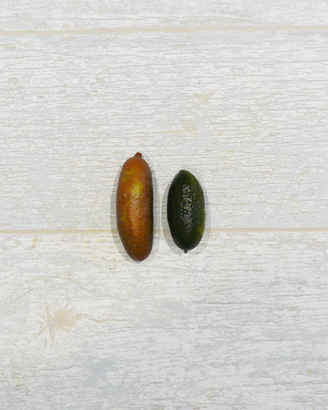 【預購商品】澳洲拇指檸檬 Finger Lime