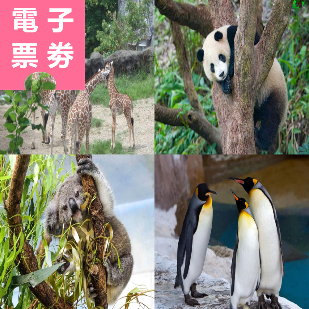 【電子票劵】台北市立動物園 入園票 Ⓕ