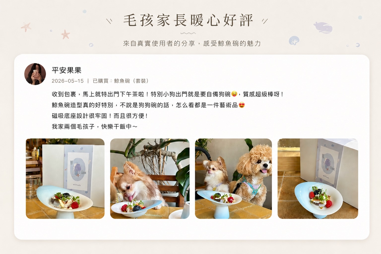 WITHPALS 鯨魚碗使用者好評分享。一位飼主分享收到包裹後立刻帶著毛孩外出享用下午茶,表示鯨魚碗造型精緻可愛,不僅是寵物餐碗,更像一件藝術擺飾。圖片中展示藍白漸層陶瓷鯨魚碗、精美禮盒包裝,以及兩隻小型犬實際使用情境。飼主特別稱讚磁吸底座設計穩固便利,外出攜帶不易傾倒,家中兩隻毛孩都能舒適用餐。整體呈現高質感寵物餐具、送禮首選與寵物生活美學風格。