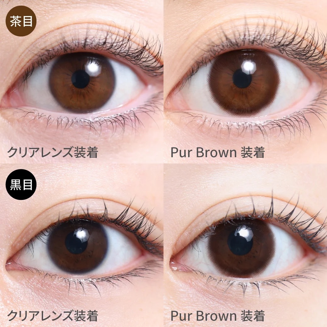 [月拋] TeAmo 1 Month Basic Mood Series Pur Brown 有色彩妝隱形眼鏡｜每盒2片