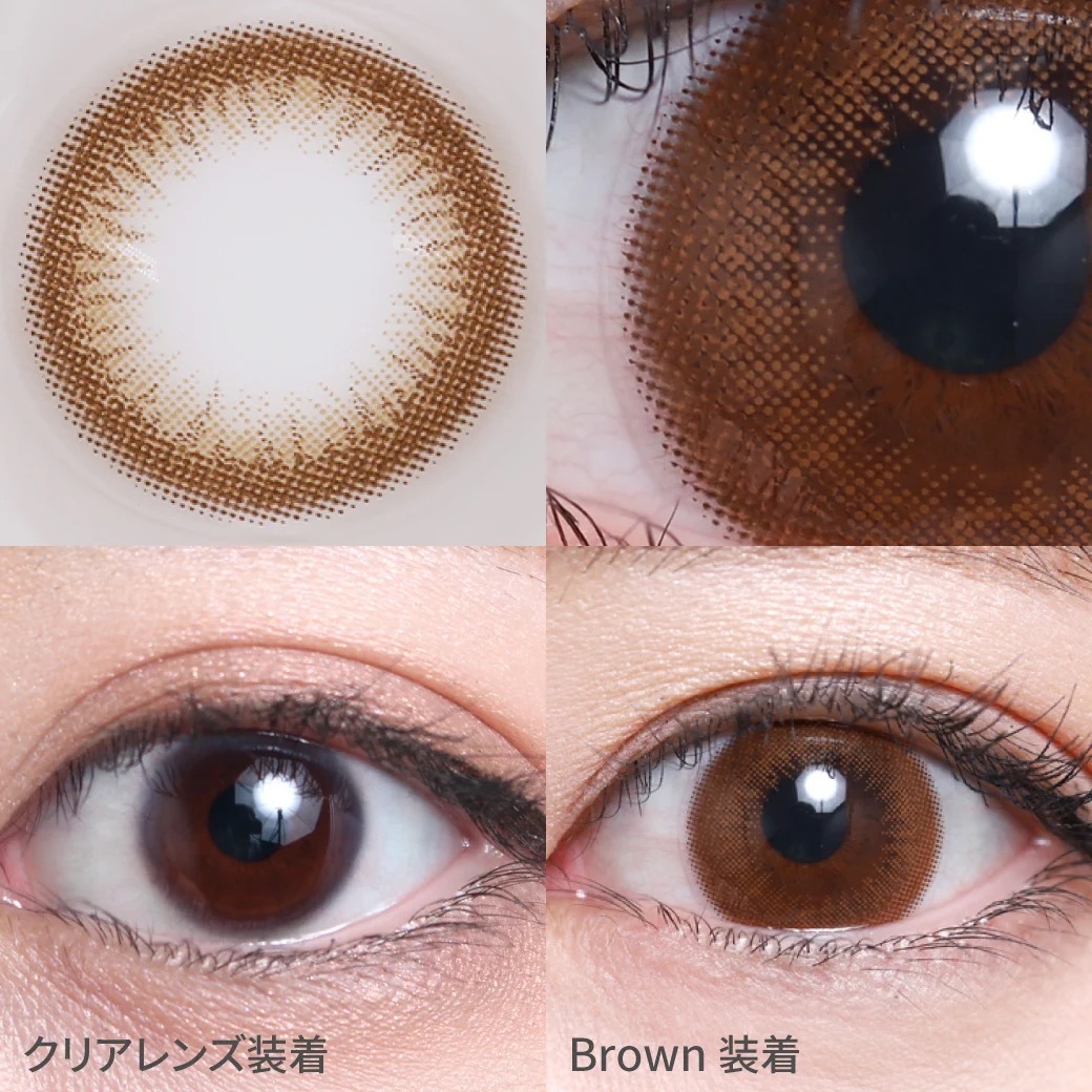 [日拋] TeAmo 1 Day Basic Mood Series Brown｜日拋彩妝隱形眼鏡｜每盒10片