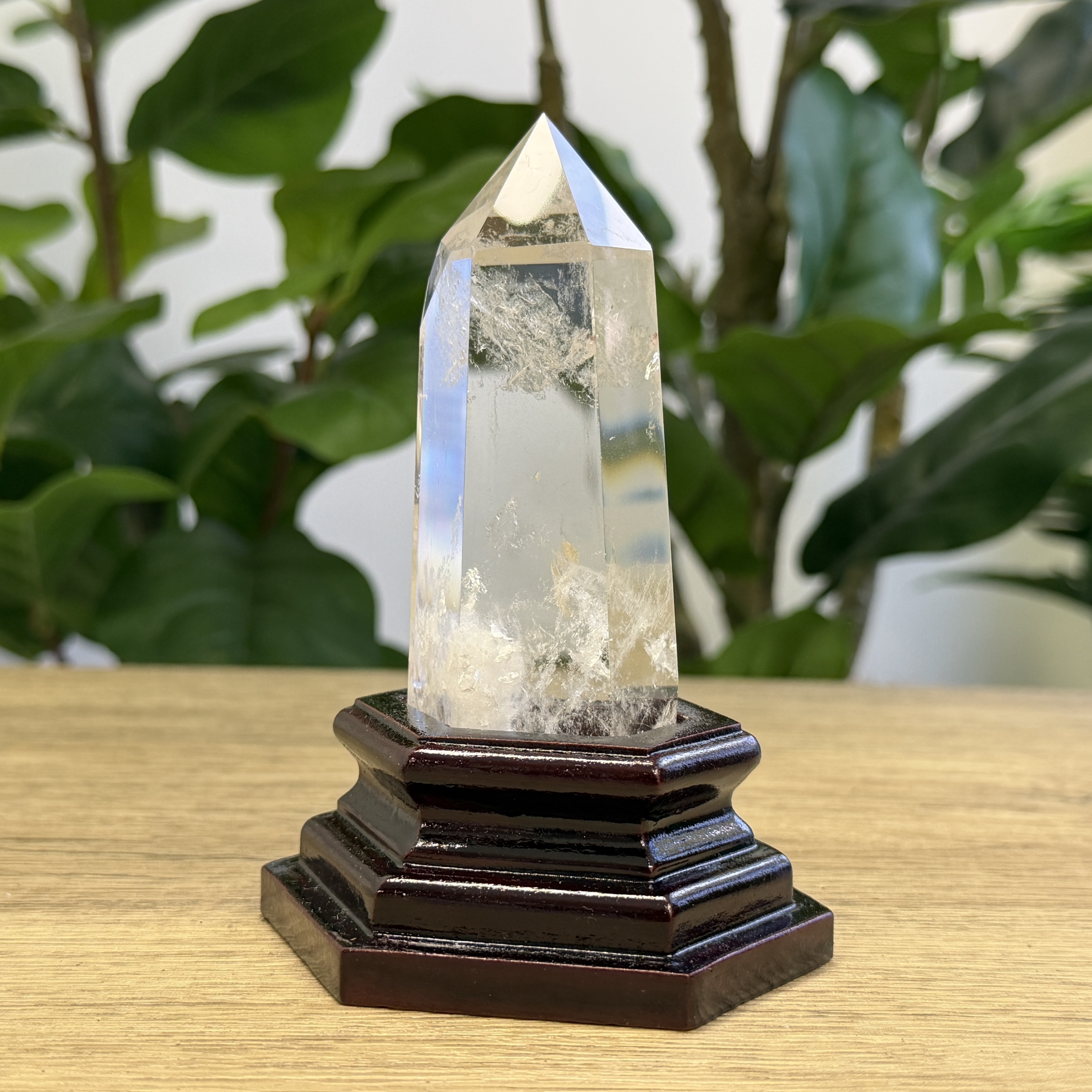 白晶柱 手圍13.5以上 WD2346