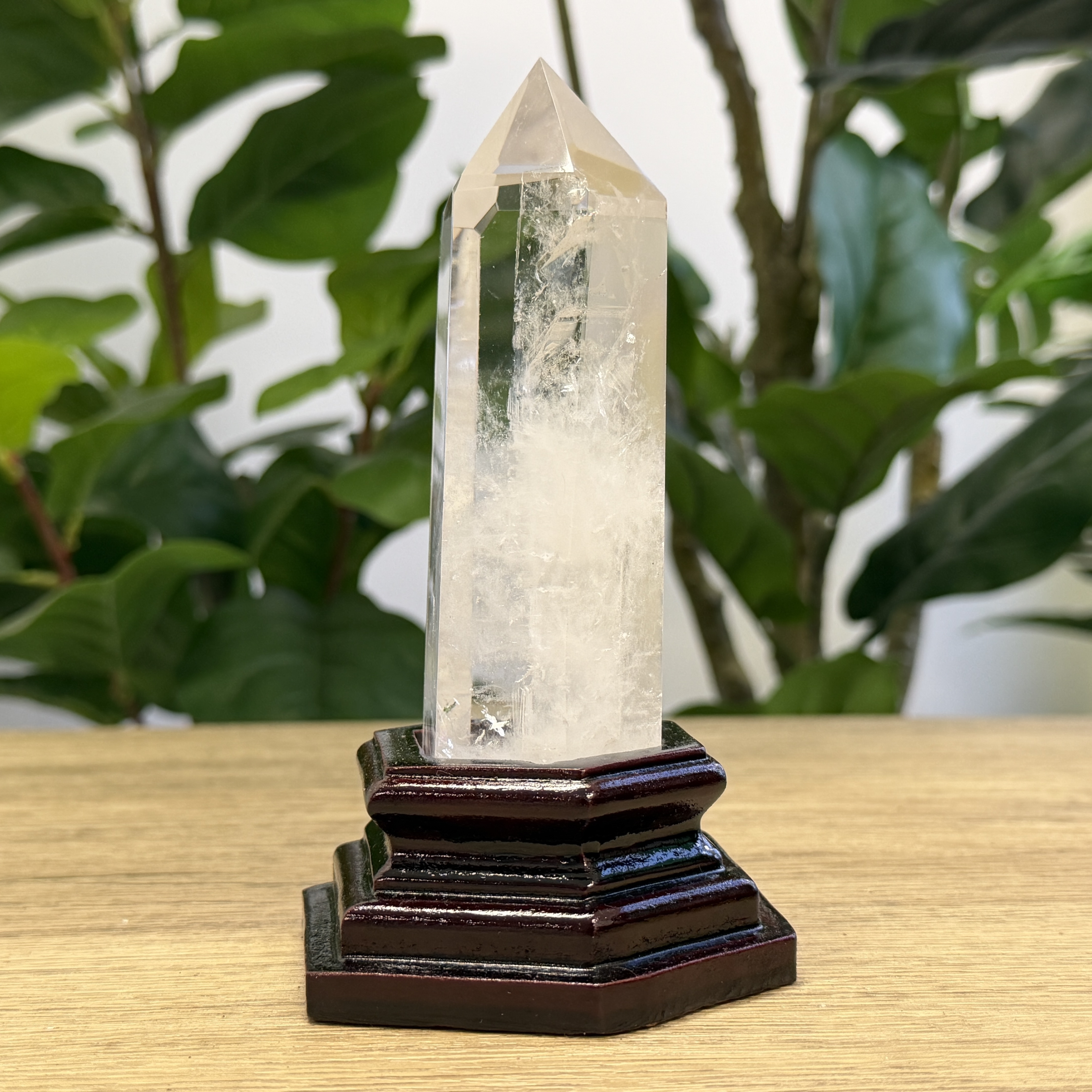 白晶柱 手圍14以上 WD2345
