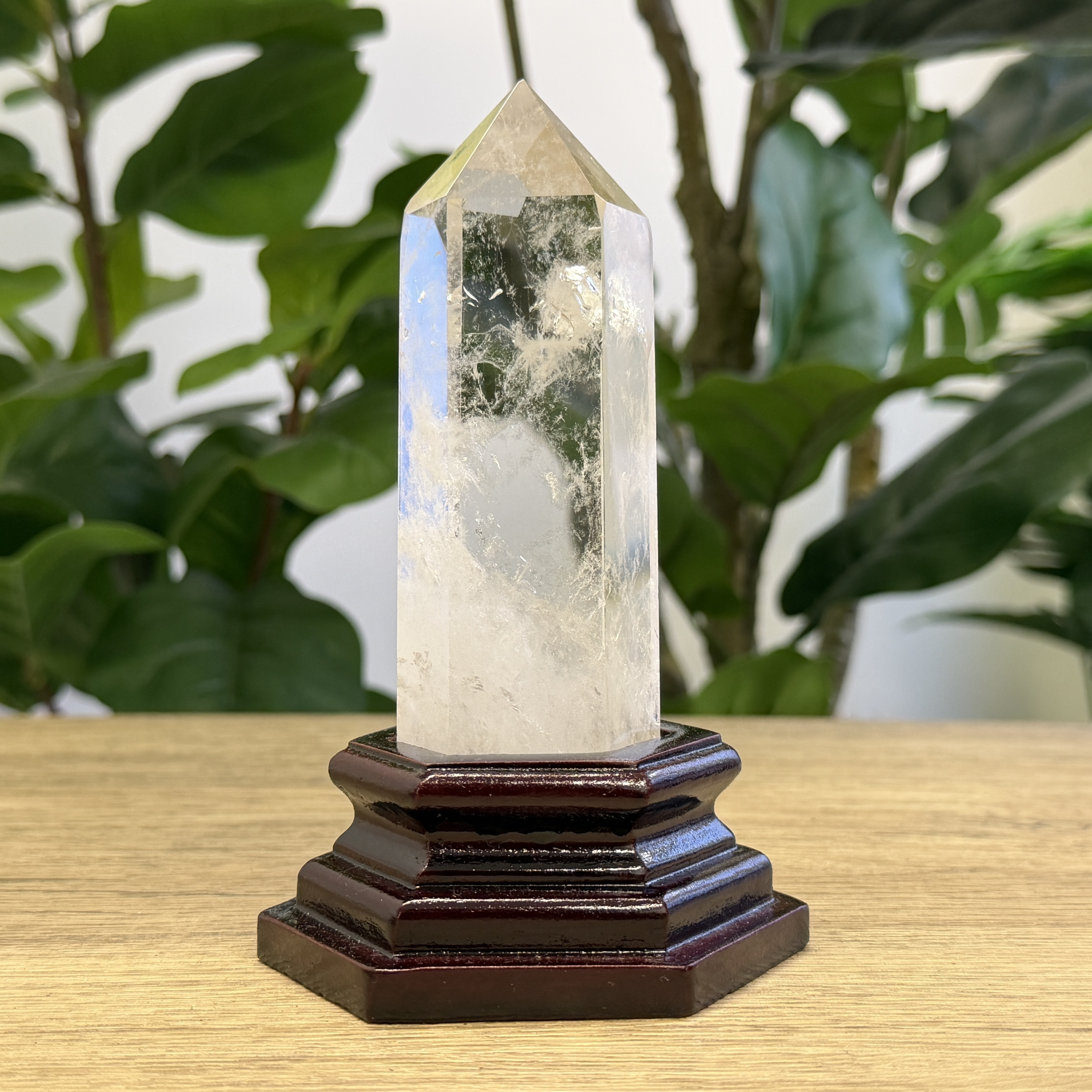 白晶柱 手圍13.5以上 WD2344