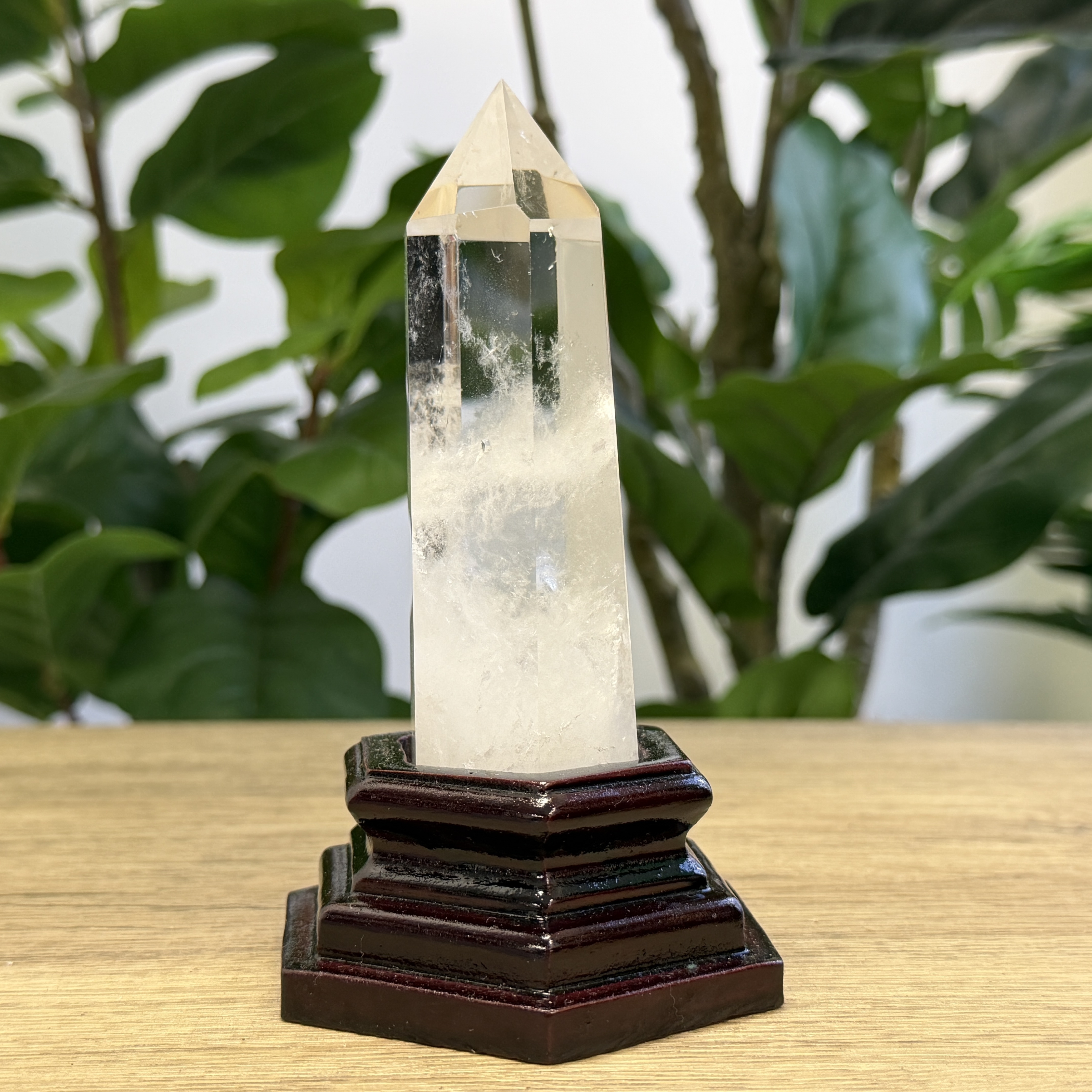 白晶柱 手圍14.5以上 WD2343