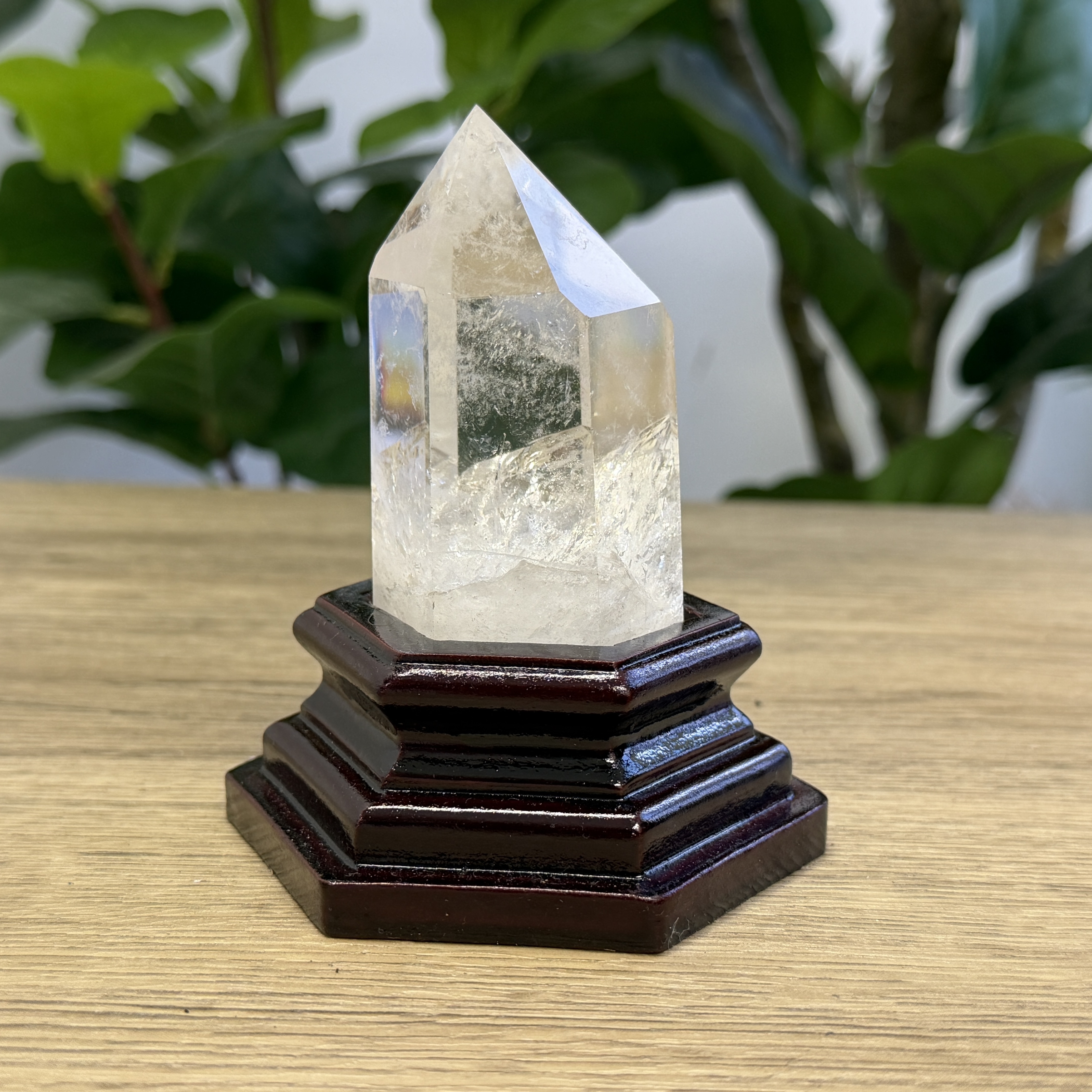 白晶柱 手圍15.5以上 WD2342