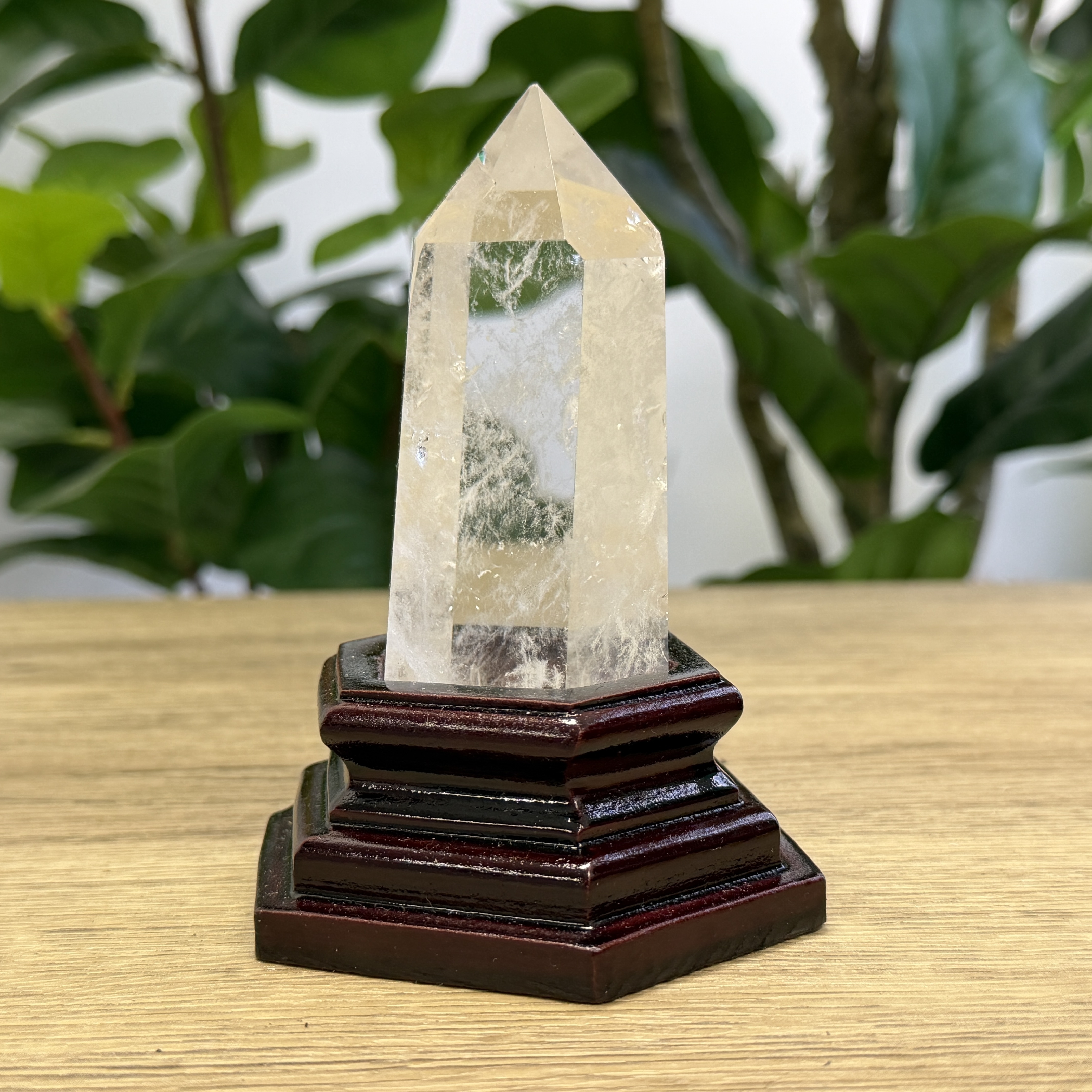 白晶柱 手圍15以上 WD2341