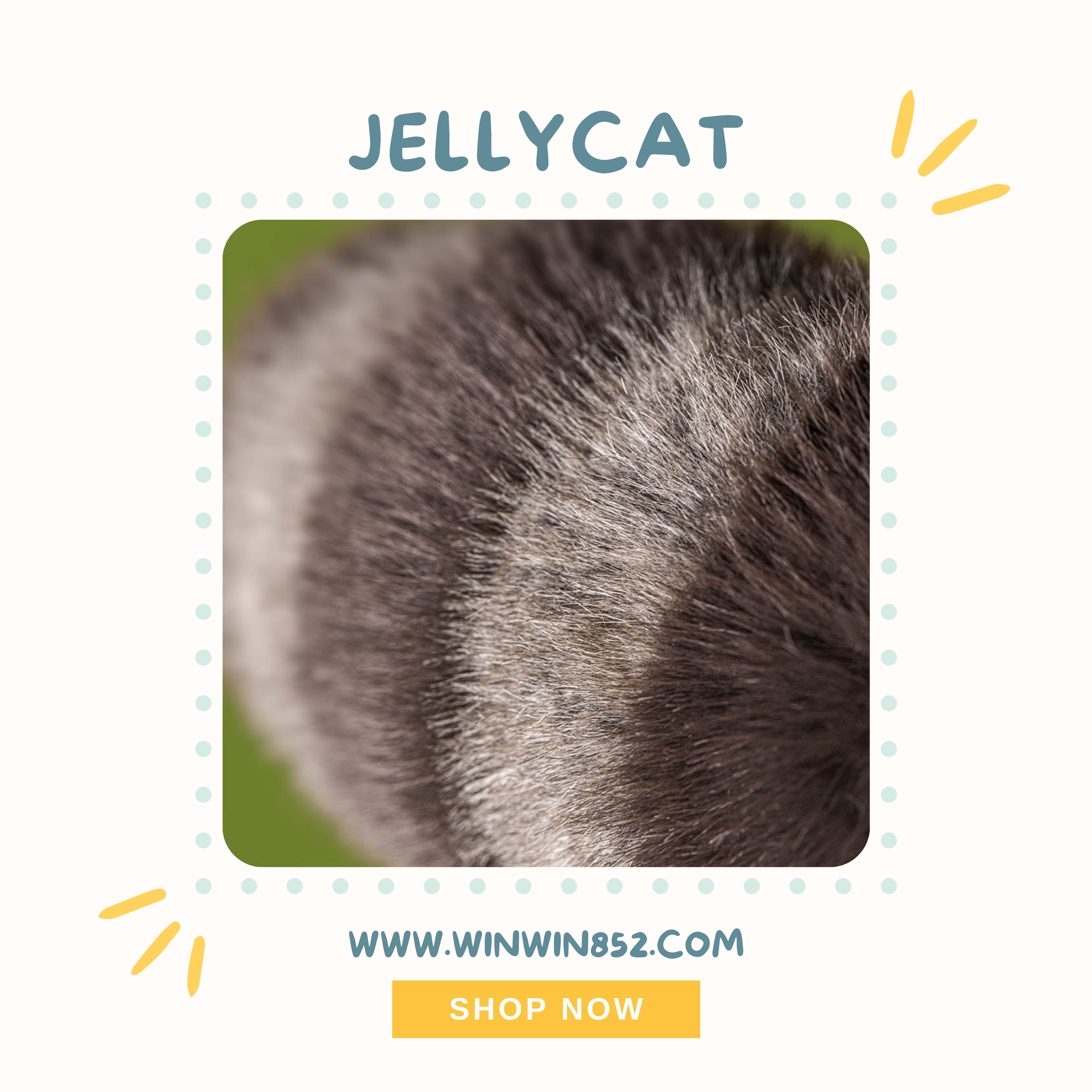 Jellycat Trixiwoo Raccoon