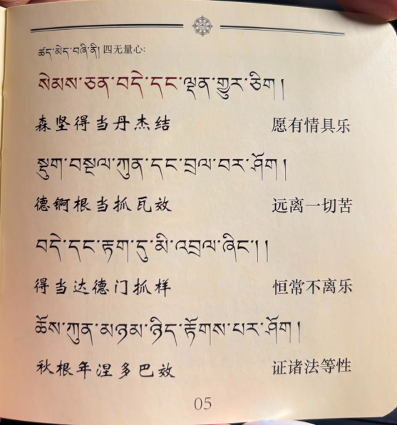 AB260623 - B29-銅2.0#銀色旋轉紫白度+紫綠度 雙面唐卡吊墜 送 綠度母心咒手機貼 (大佛古寺添磚加瓦 活佛開光 轉岡仁波齊神山)(留中文名+出生年月日+地址）（一物一證書）（8月底到貨，限尖沙咀門市自取）