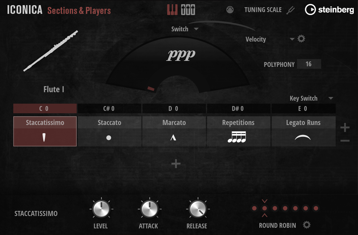 Steinberg Iconica Sections & Players