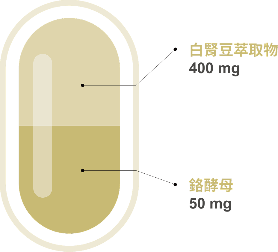 豐傑白腎豆，2大黃金組合幫助窈窕美麗