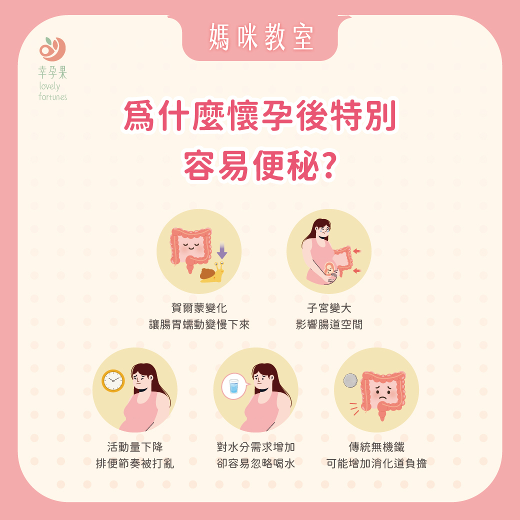幸孕果媽咪教室 為何懷孕後突然變得很容易便秘？營養師解析孕期排便不順的原因與解決辦法