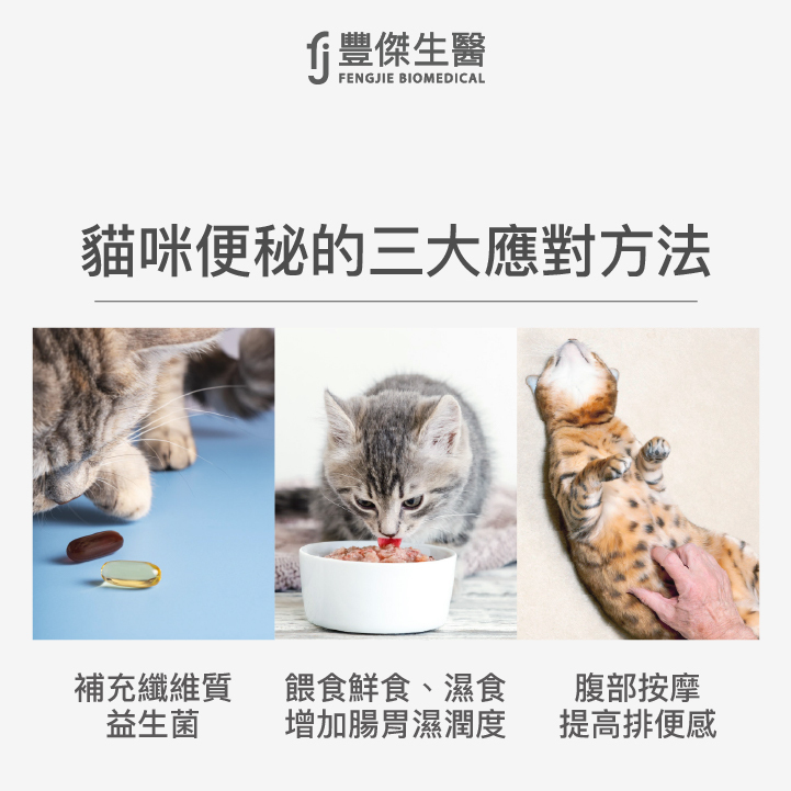 貓咪便秘的3大應對方法