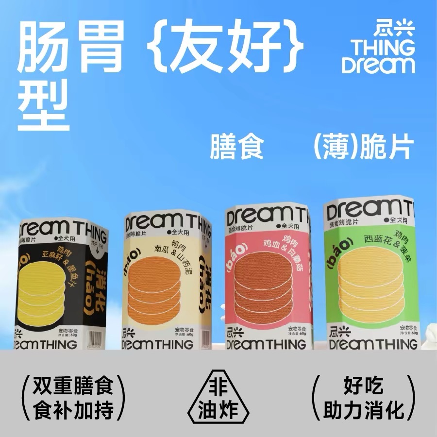 DREAMTHING DIETARY THIN POTATO CHIPS