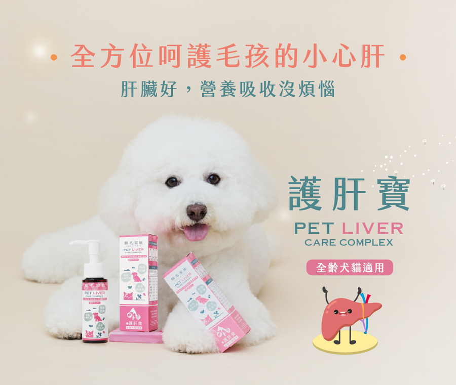 歸毛家族護肝寶與白色比熊犬合照,全方位呵護寵物小心肝、提升營養吸收,是全齡犬貓適用的專業護肝保健品。