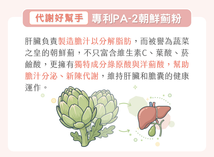 犬貓肝臟保健成分推薦專利朝鮮薊粉，內含綠原酸能幫助犬貓膽汁分泌，促進新陳代謝並守護膽囊健康。