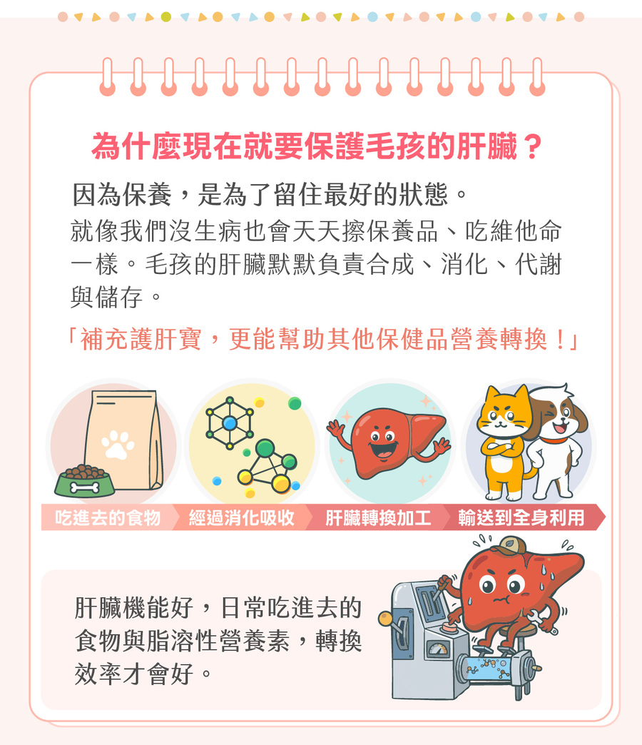 為什麼毛孩需要護肝寶？維持犬貓肝臟機能，能有效幫助日常其他寵物保健品與與脂溶性營養素的消化吸收。