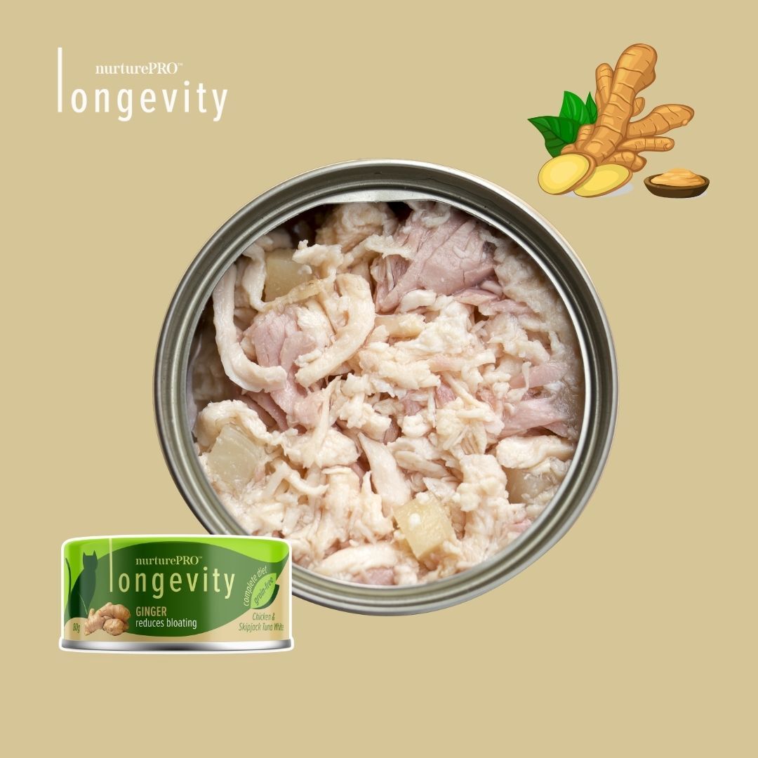 Nurture Pro Longevity 無穀物貓主食罐｜雞肉、鰹魚白肉配薑 80g (Exp: Sep-2027)