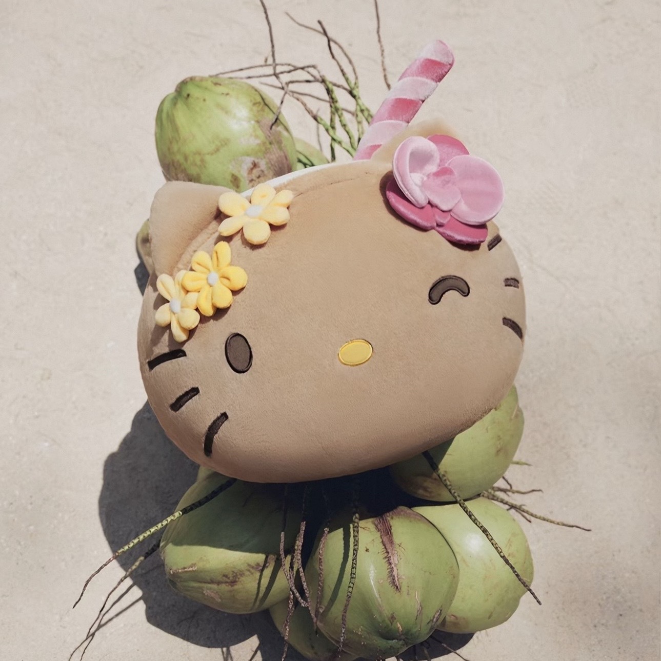 SANRIO HELLO KITTY x TBH 黑皮椰子 二合一法蘭絨毯 椰子汁 凱蒂貓 抱枕