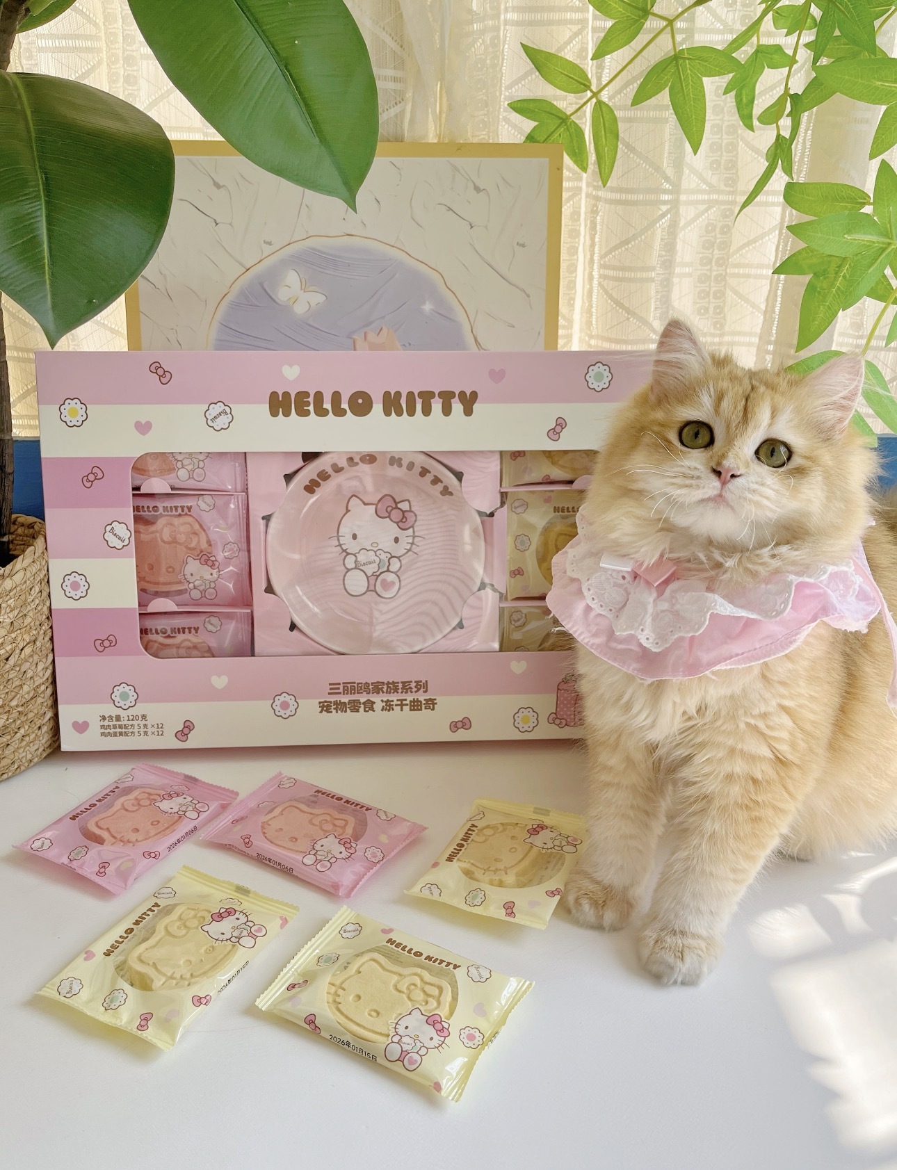 SANRIO SERIES COOKIES SET WITH BOWL