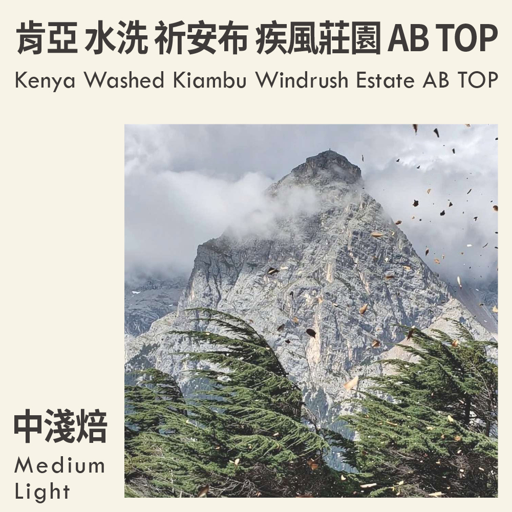 肯亞 水洗 祈安布 疾風莊園 單一莊園 AB TOP