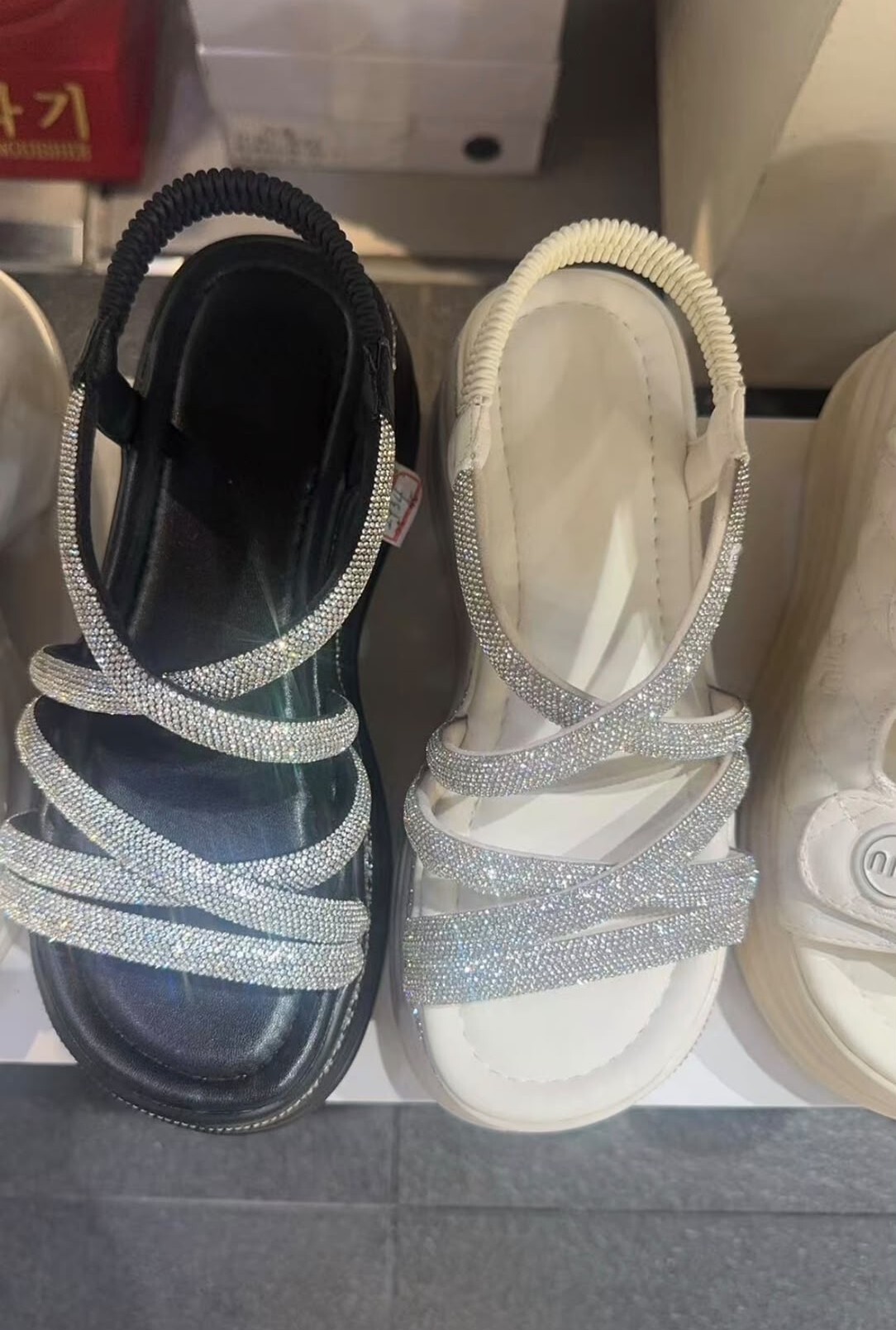 AC24 偏細 6cm SIZE:230-250 $599